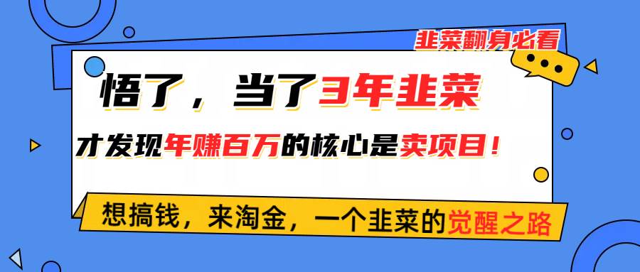 悟了，当了3年韭菜，才发现网赚圈年赚100万的核心是卖项目，含泪分享！ - 趣酷猫