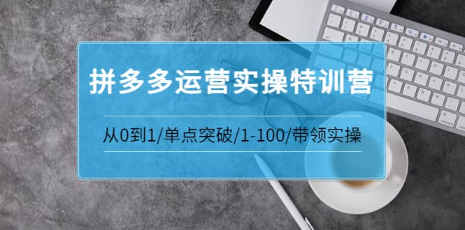 拼多多运营实操特训营：从0到1/单点突破/1-100/带领实操 价值2980元 - 趣酷猫