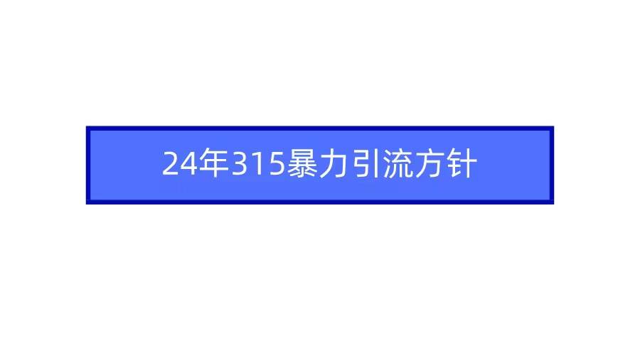 2024年315暴力引流方针 - 趣酷猫