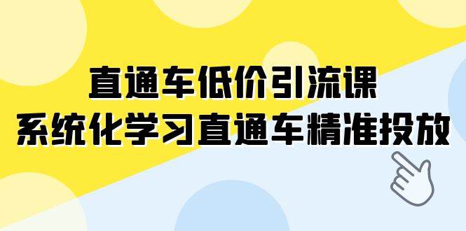 直通车-低价引流课，系统化学习直通车精准投放（14节课） - 趣酷猫