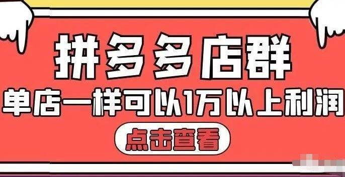 拼多多店群单店一样可以产出1万5以上利润【付费文章】-百盟网