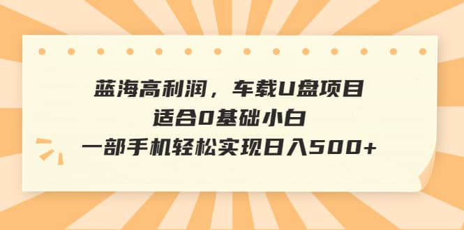 蓝海高利润，车载U盘项目，适合0基础小白，一部手机轻松实现日入500+ - 趣酷猫