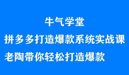 牛气学堂拼多多打造爆款系统实战课，老陶带你轻松打造爆款-百盟网