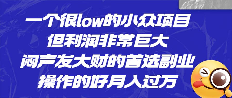 一个很low的小众项目，但利润非常巨大，闷声发大财的首选副业，月入过万 - 趣酷猫