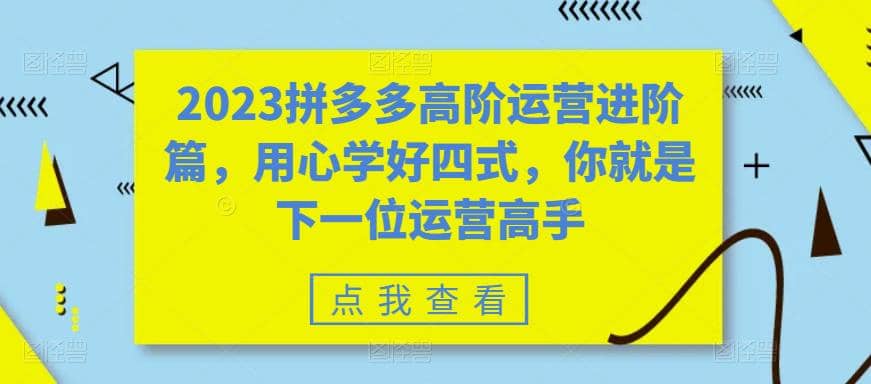 2023拼多多高阶运营进阶篇，用心学好四式，你就是下一位运营高手 - 趣酷猫