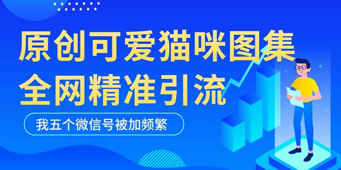 黑科技纯原创可爱猫咪图片，全网精准引流，实操5个VX号被加频繁 - 趣酷猫