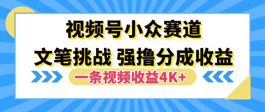 视频号小众赛道，文笔挑战，一条视频收益4K+ - 趣酷猫