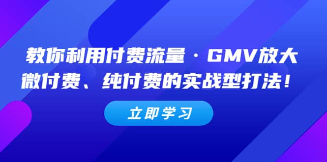 教你利用付费流量·GMV放大，微付费、纯付费的实战型打法 - 趣酷猫