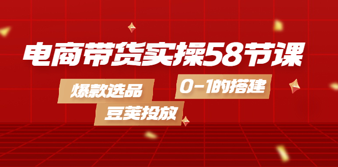 电商带货实操58节课，爆款选品，豆荚投放，0-1的搭建 - 趣酷猫