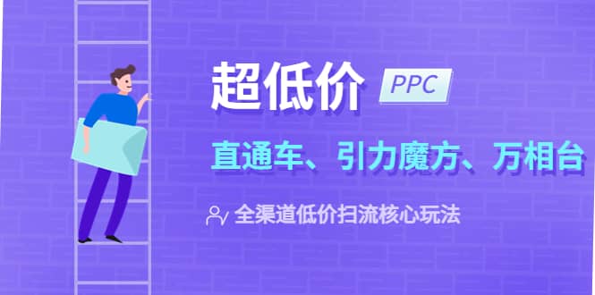 2023超低价·ppc—“直通车、引力魔方、万相台”全渠道·低价扫流核心玩法 - 趣酷猫