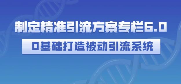 制定精准引流方案专栏6.0，0基础打造被动引流系统-百盟网