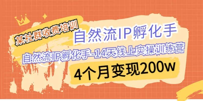 某社群收费培训：自然流IP 孵化手-14天线上实操训练营 4个月变现200w - 趣酷猫