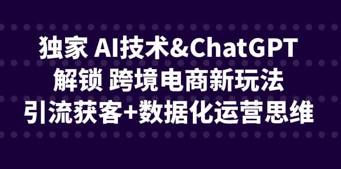 独家 AI技术ChatGPT解锁 跨境电商新玩法，引流获客+数据化运营思维 - 趣酷猫