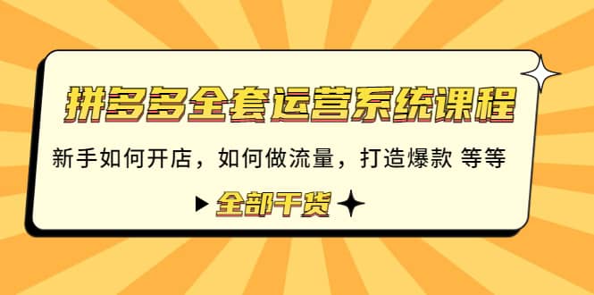 拼多多全套运营系统课程：新手如何开店 如何做流量 打造爆款 等等 全部干货 - 趣酷猫