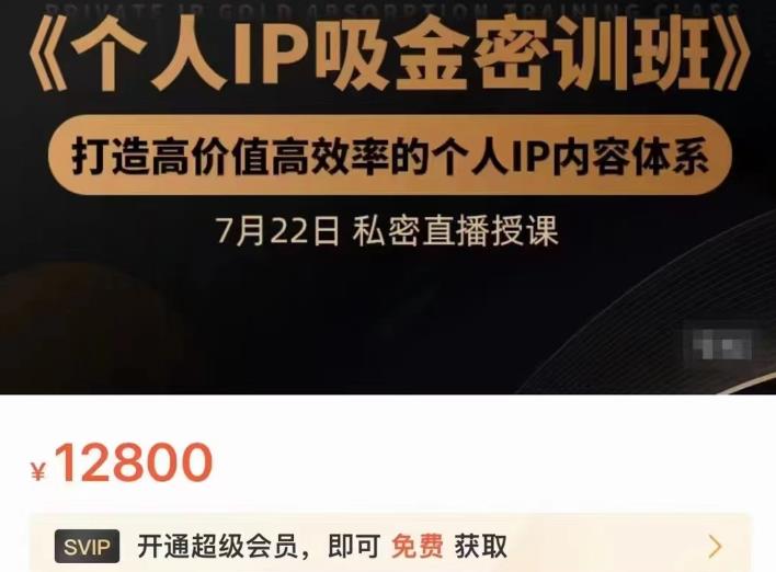 个人IP吸金密训班，打造高价值高效率的个人IP内容体系（价值12800元） - 趣酷猫