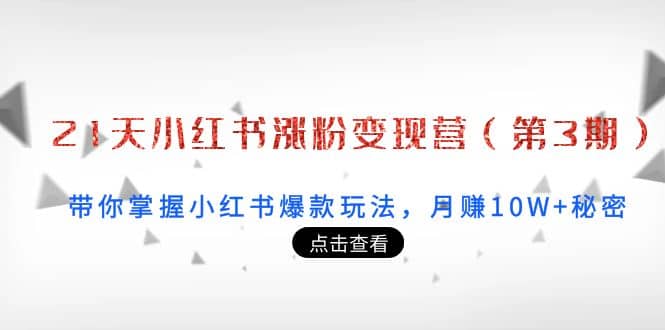 21天小红书涨粉变现营（第3期）：带你掌握小红书爆款玩法，月赚10W+秘密 - 趣酷猫