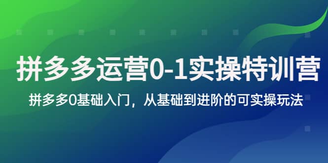 拼多多-运营0-1实操训练营，拼多多0基础入门，从基础到进阶的可实操玩法 - 趣酷猫