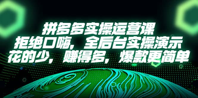 拼多多实操运营课：拒绝口嗨，全后台实操演示，花的少，赚得多，爆款更简单 - 趣酷猫