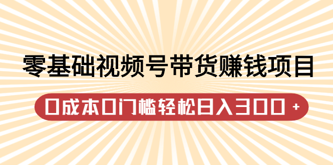 零基础视频号带货赚钱项目，0成本0门槛轻松日入300+【视频教程】-百盟网