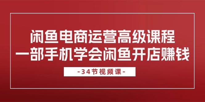 闲鱼电商运营高级课程，一部手机学会闲鱼开店赚钱（34节课） - 趣酷猫