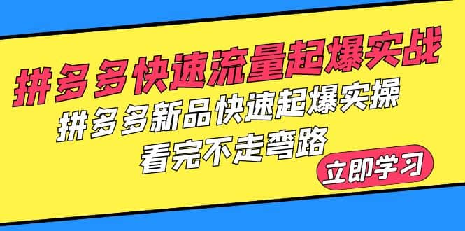 拼多多-快速流量起爆实战，拼多多新品快速起爆实操，看完不走弯路 - 趣酷猫