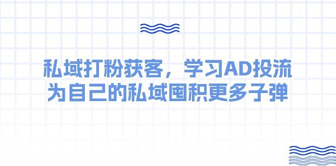 某收费课：私域打粉获客，学习AD投流，为自己的私域囤积更多子弹 - 趣酷猫