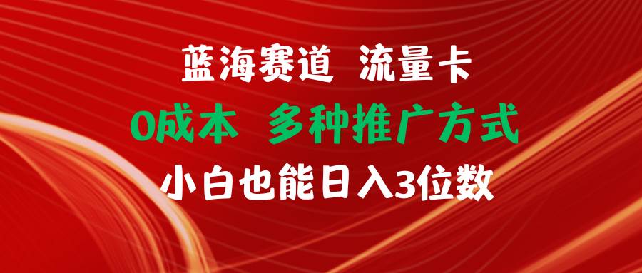 蓝海赛道 流量卡 0成本 小白也能日入三位数 - 趣酷猫