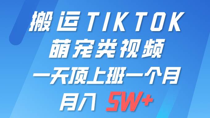 一键搬运TIKTOK萌宠类视频 一部手机即可操作 所有平台均可发布 轻松月入5W+ - 趣酷猫