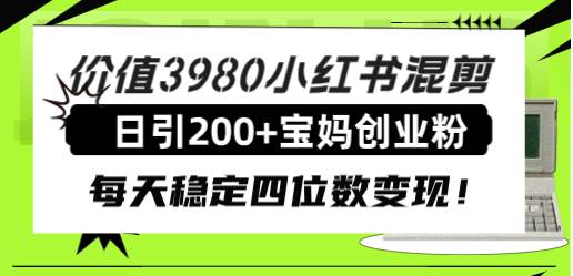 价值3980小红书混剪日引200+宝妈创业粉，每天稳定四位数变现！ - 趣酷猫