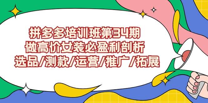 拼多多培训班第34期：做高价女装必盈利剖析  选品/测款/运营/推广/拓展 - 趣酷猫