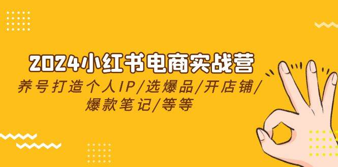 2024小红书电商实战营，养号打造IP/选爆品/开店铺/爆款笔记/等等（24节） - 趣酷猫