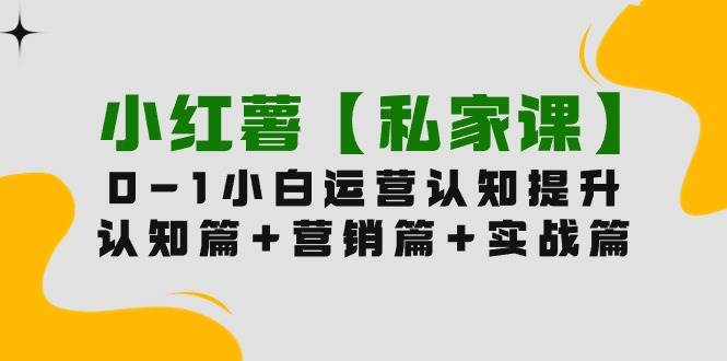 小红薯【私家课】0-1玩赚小红书内容营销，认知篇+营销篇+实战篇（11节课） - 趣酷猫