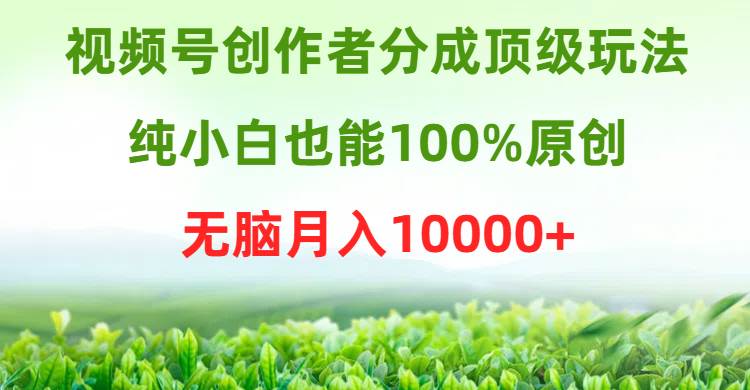 视频号创作者分成顶级玩法，纯小白也能100%原创，无脑月入10000+ - 趣酷猫