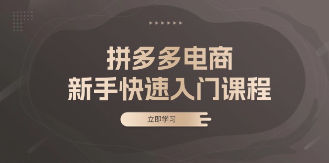 拼多多电商新手快速入门课程：涵盖基础、实战与选款，助力小白轻松上手-百盟网