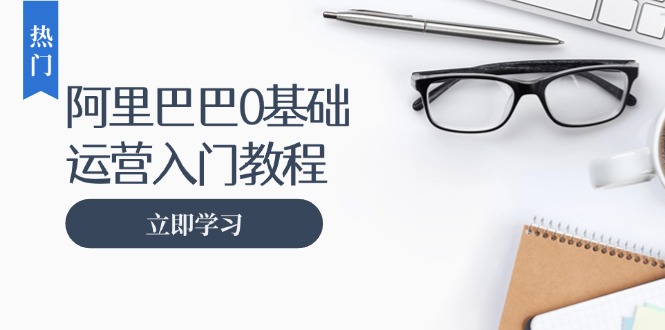 阿里巴巴运营零基础入门教程：涵盖开店、运营、推广，快速成为电商高手-百盟网