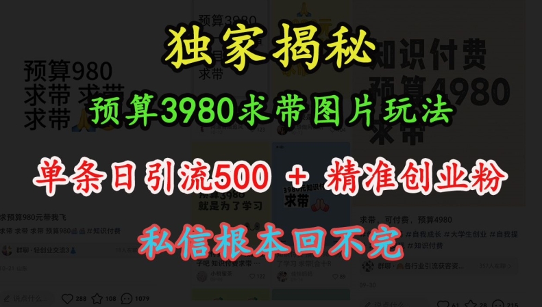 预算3980求带 图片玩法，单条日引流500+精准创业粉，私信根本回不完-百盟网