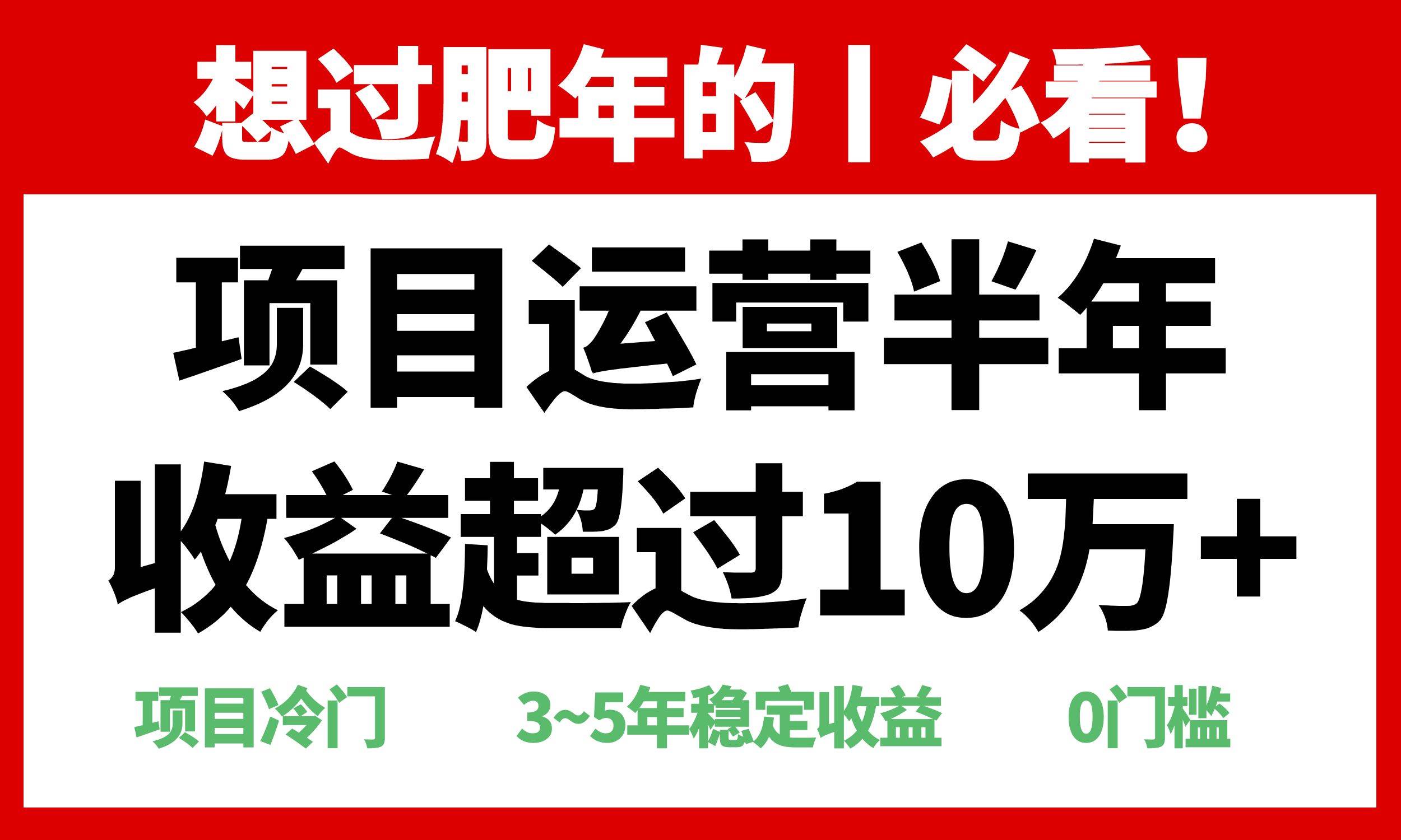 年前过肥年的必看的超冷门项目，半年收益超过10万+，-百盟网