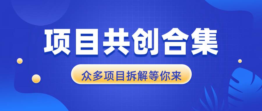 项目共创合集，从0-1全过程拆解，让你迅速找到适合自已的项目-百盟网